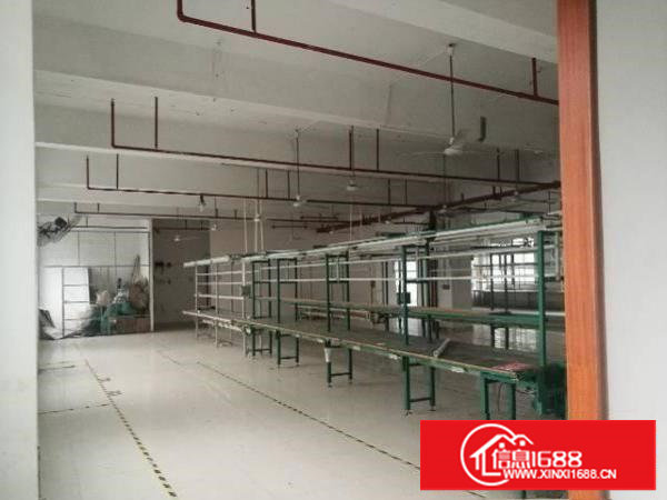 塘厦新出800平精装修花园式厂房，原房东无公摊！