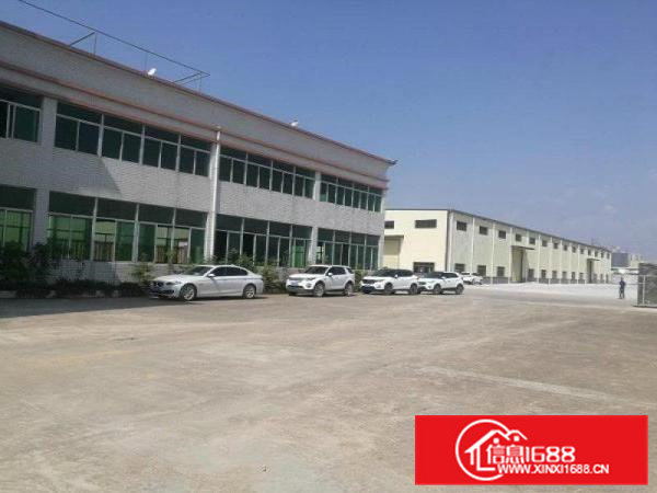 桥头山和村独院钢构厂房分租1500平米带精装修办公