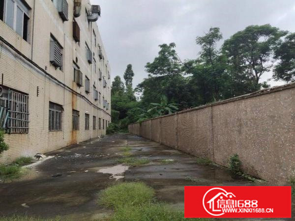 龙岗南联独院厂房12000平招租大小分租空地超大位置超好