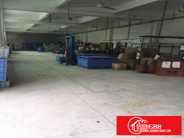 平湖山厦工业区原房东一楼1300平方出租