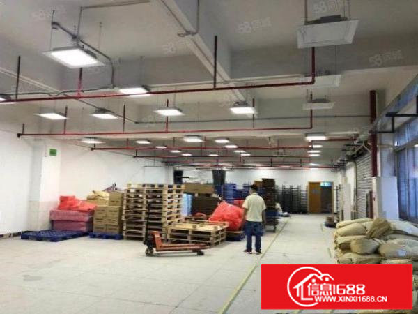 布吉丹竹头原房东标准厂房500平到2000平，带卸