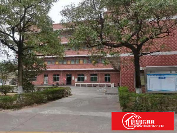 单一层钢构2500到5000平厂房出租（园区空间大形象好）