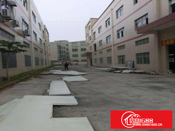 新圩4300平独栋厂房出租带消防喷淋，交通方便