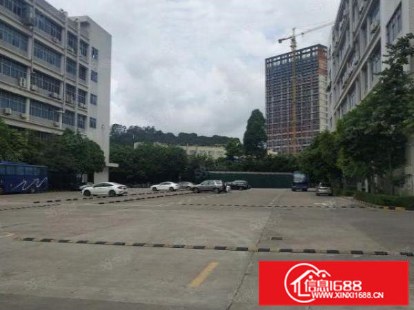 坂田雪象附近原房东1500平带装修电商办公厂房出租