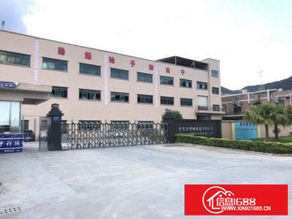 清溪谢坑高6.5米钢构700平出租！