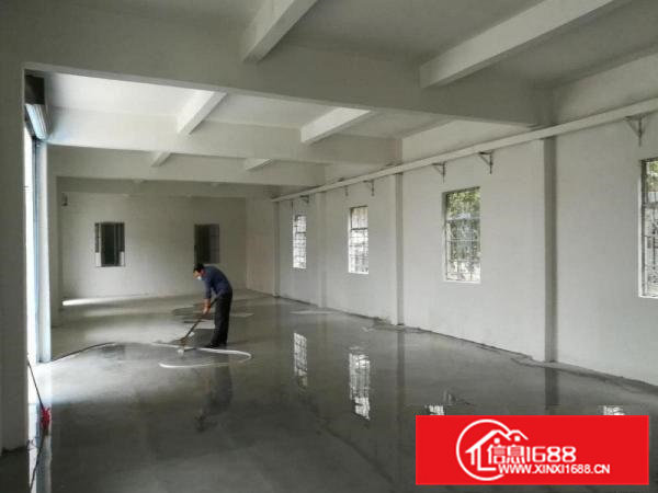 出租原房东独院标准小厂房一楼面积550平