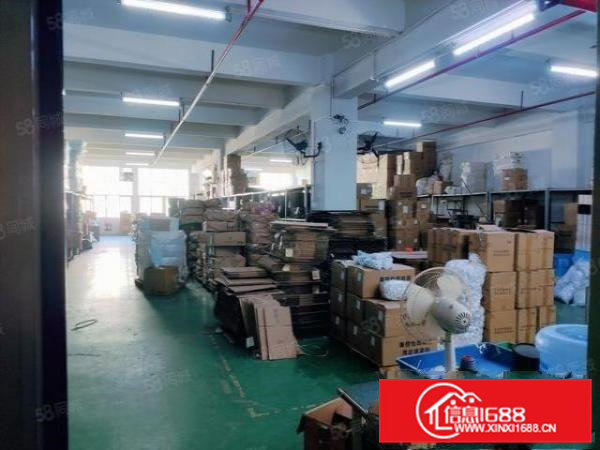 雁田新出楼上560平带地坪漆厂房形象好