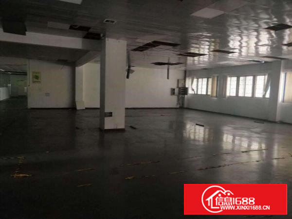 长安锦厦一楼新出900平厂房出租带玻璃办公室车间带地坪漆