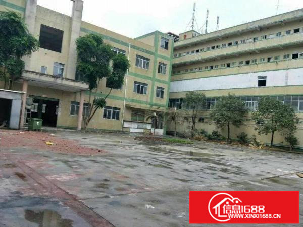 横岗六约塘坑地铁站附近新出独院厂房2600平