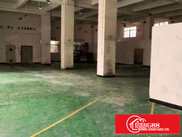 西湖原房东一楼1000方高度6.5米，超低价16，可分租