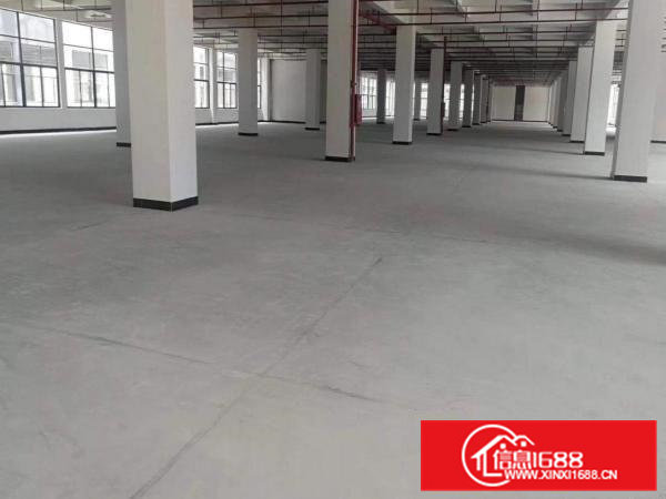 东坑镇黄屋厂房出租1000平方可分一半