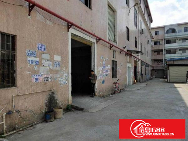 清溪三中原房东一楼550平米带装修招租，空地大