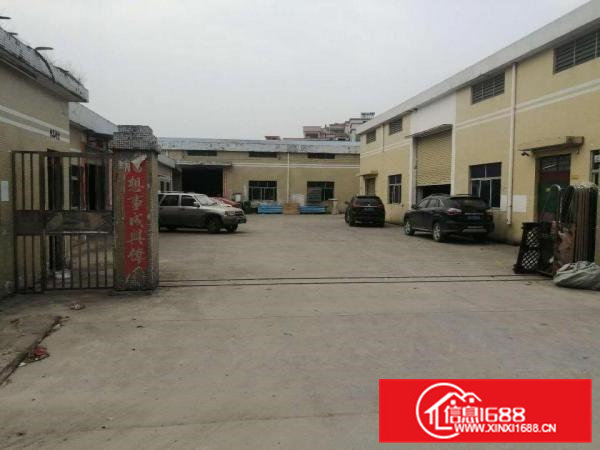 石排镇原房东独门独院单一层带牛角位砖墙到顶优惠出租