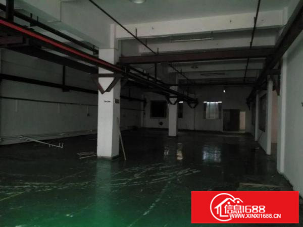 镇中心1000一楼标准厂房6米高出租