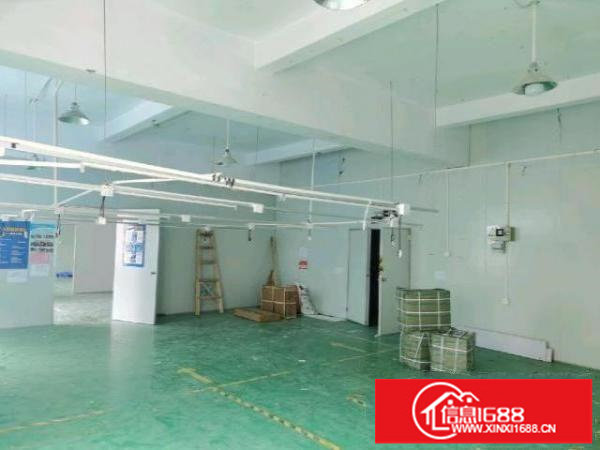 龙华大浪南路新出500平正规厂房，20元一平，先到先得！