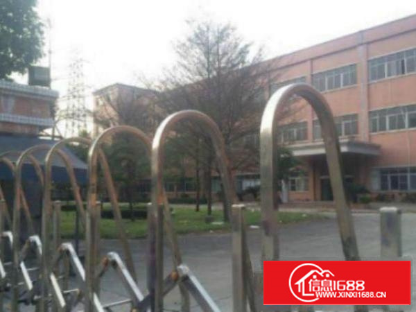 高埗标准三层厂房6000平方米出租独门独院厂房现成办公室