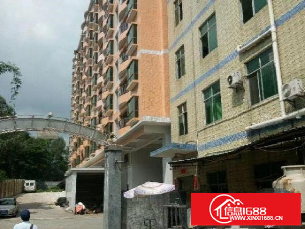 龙岗专做食品厂房800平米低价招租