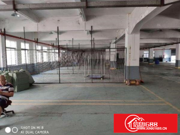 大利原房东标准电梯厂房1100平方，配3吨电梯