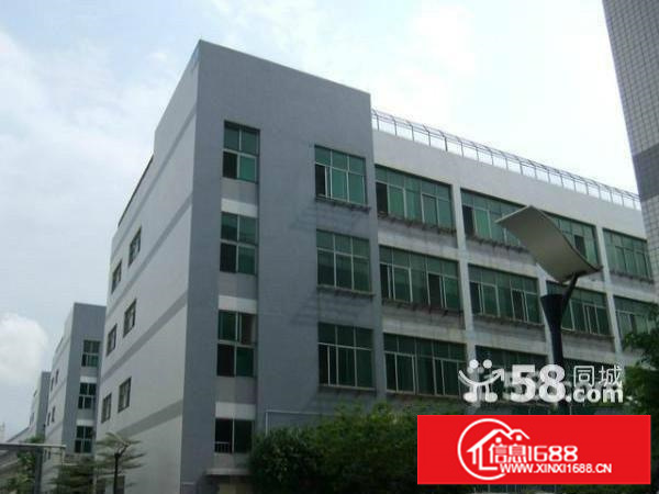 浪口大浪会堂新出3楼560平方带精装修免转让费急租