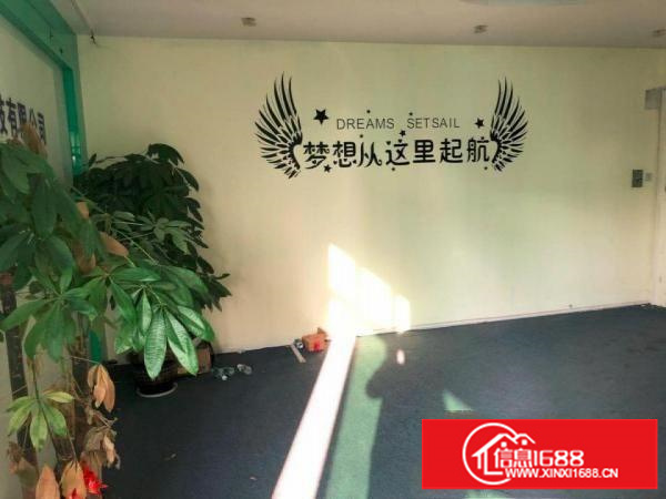 出租龙岗区坂田厂房