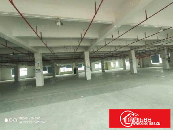 顺德区北滘镇北滘港2090方厂房出租超大空地三部货梯新地坪漆