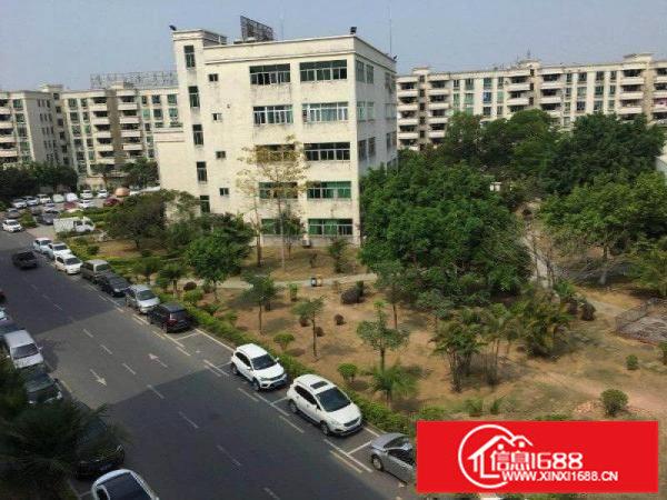 坂田亚洲工业区厂房680平方出租可分租一半