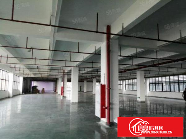 独门独院带现成办公，龙江工业区5000方标准厂房带地坪漆展厅