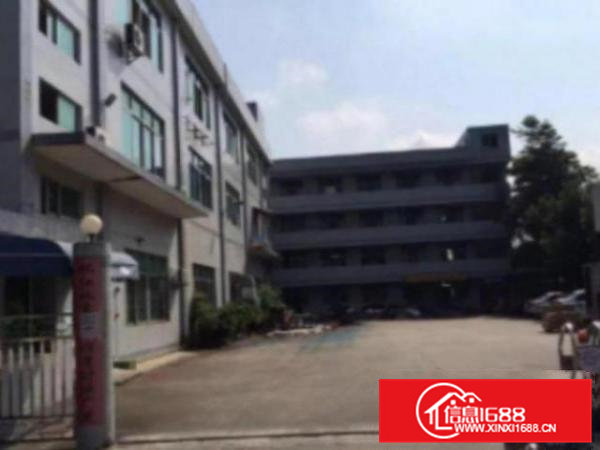 高埗独院标准厂房分租楼上1500平方带地坪漆出租