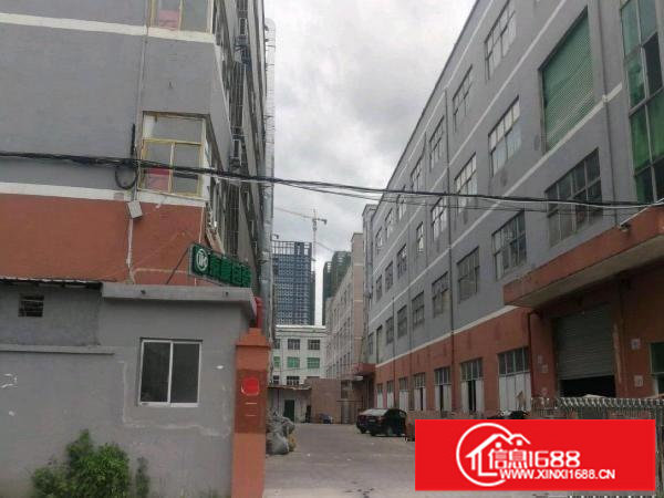 龙岗中心城爱联一楼1200平方厂房出租！可分租