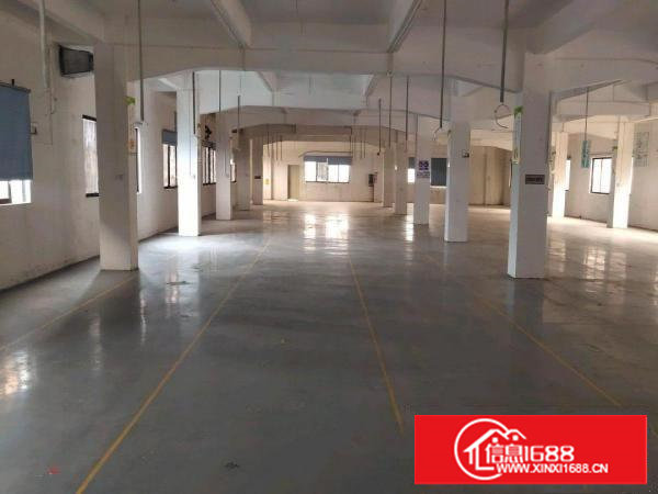 塘厦东深二路旁惊现超靓独院厂房