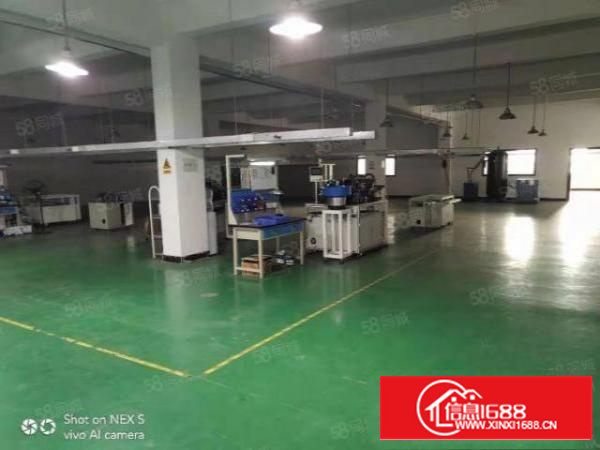 万江3000平米花园式独院厂房