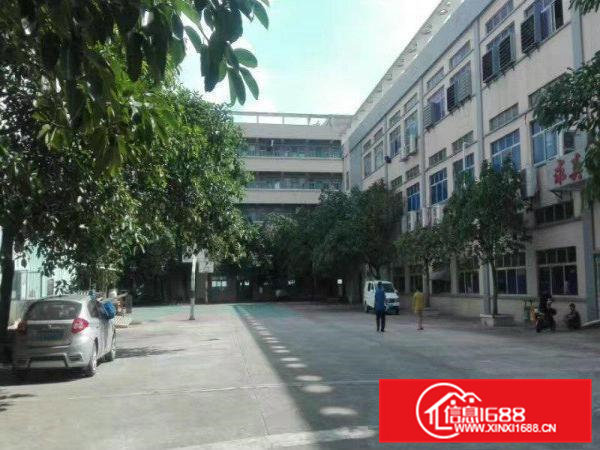 4000平方米）凤岗新出独院厂房带现成水电现成装修