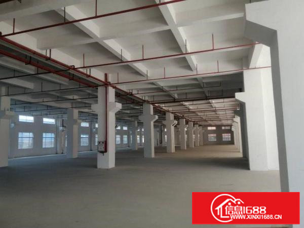 桥头华夏工业区内新出标准厂房分租一楼1500平方，