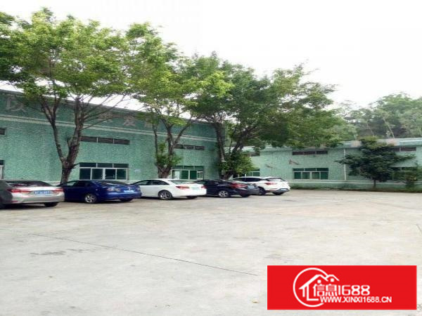 坪山石井路口钢结构厂房出租1260平方