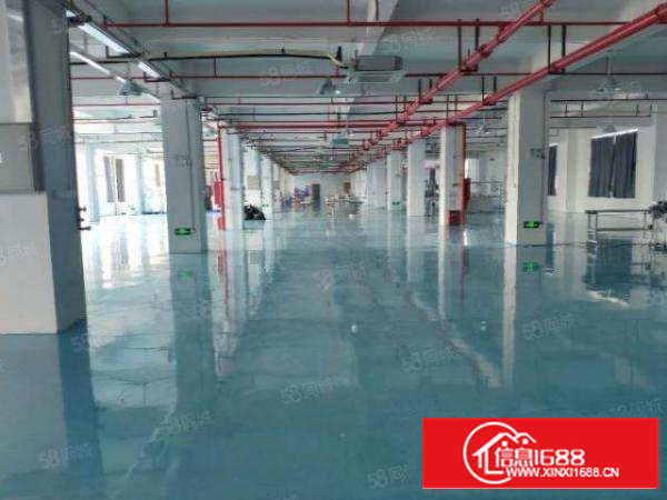 寮步新空出3000平方全新带装修厂房出租仓库出租