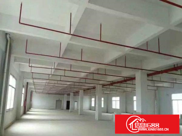 《靓》水口全新厂房1至3楼7300平米招租