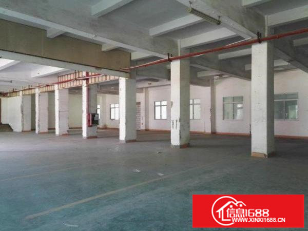 龙岗同乐6米高1200平米标准红本厂房大小分租
