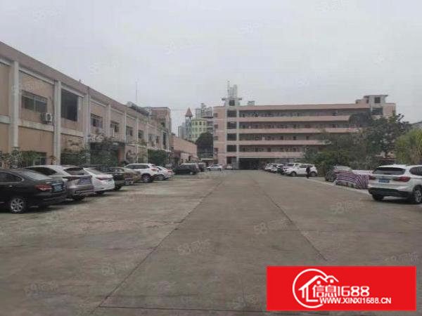 清溪镇中心新出砖墙到顶钢构厂房2800平方，层高8米，空地大