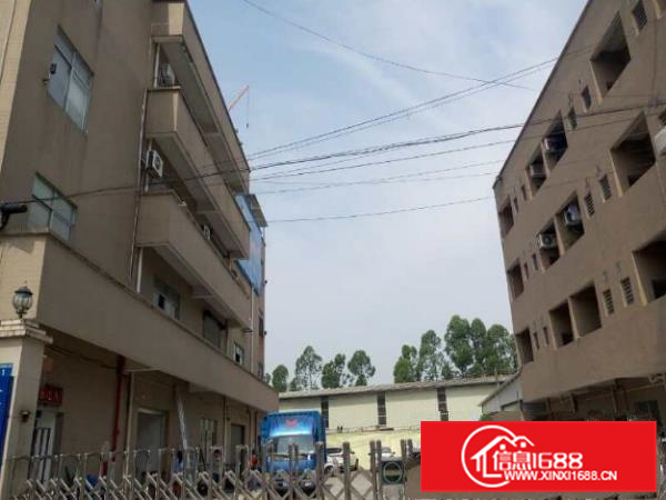 仲恺陈江独院厂房2600平方，可以分租、出入方便