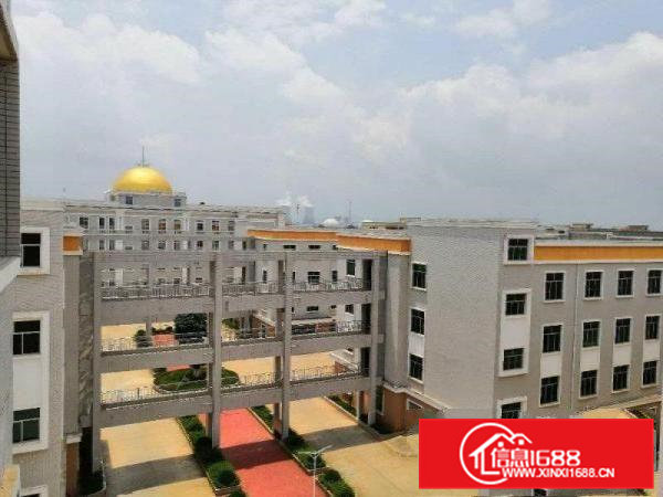 大朗镇蔡边大型工业园楼上1000平现成水电办公