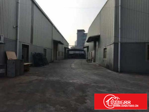 万江大小型厂房仓库招租信息/东莞单层厂房招租