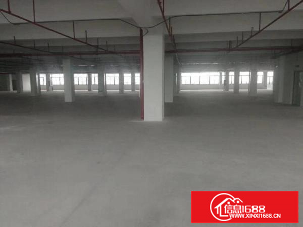 独门独院全新标准厂房23000平米