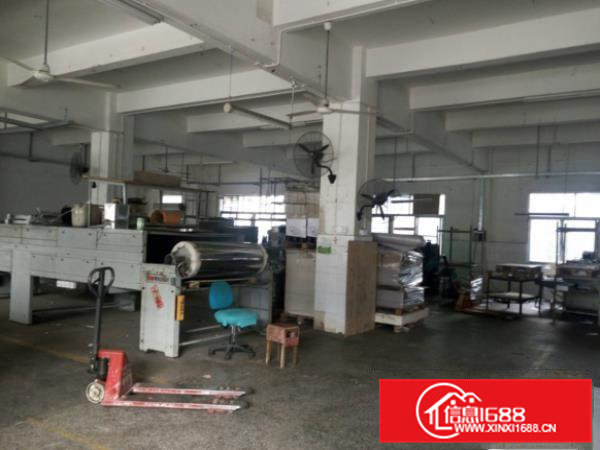 水围工业区一楼1200平米一楼厂房出租