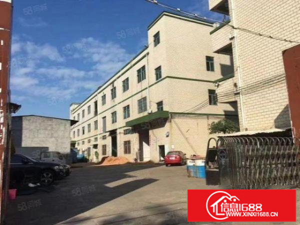 松岗塘下涌靠近107国道原房东一楼标准厂房1000平招租