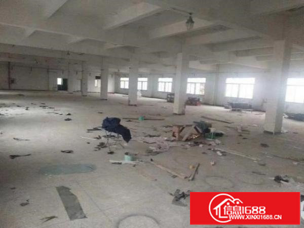 坂田天虹附近新出原房东1楼550平可分