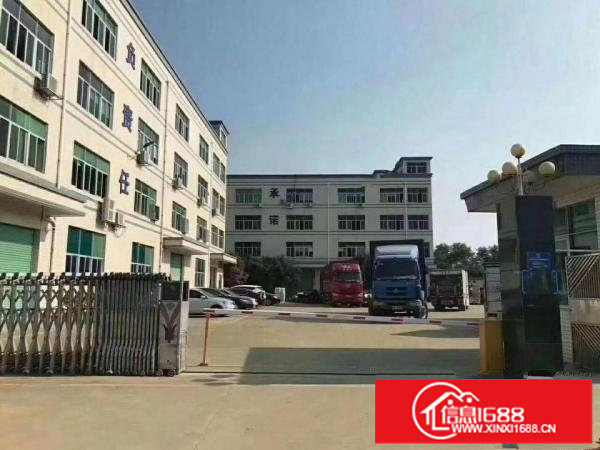 高大上气派坪山红本独院8800平米厂房出租可分租