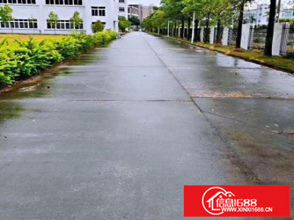 观澜湖新城原房东厂房，仓库一楼3200平米带装修出租可分租