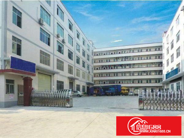 常平还珠沥原房东标准厂房楼上1100平出租无公摊