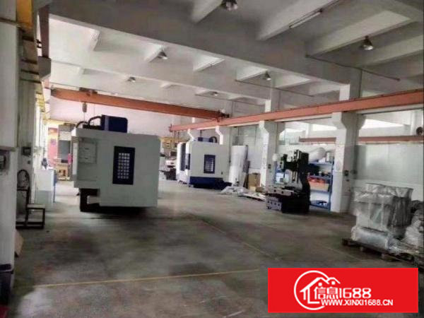 长巷免押金出租常平原房东3000平厂房300起可分租