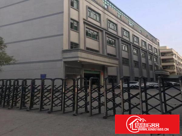 大岭山新出原房东独门独院6000平方,水电齐全装修办公室